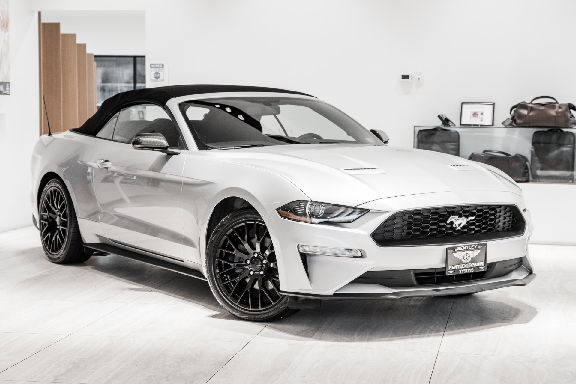 Used 2019 Ford Mustang For Sale (Sold) | Exclusive Automotive Group ...